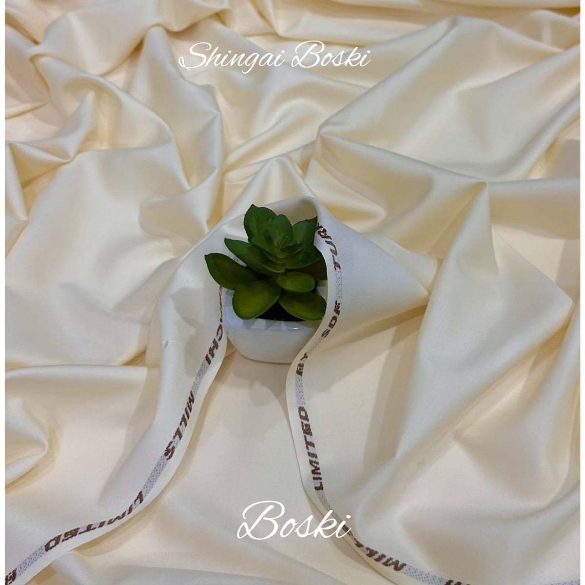 BOSKI FINISH WASH AND WEAR